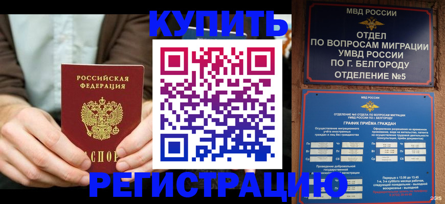 прописка 2025 в Людиново